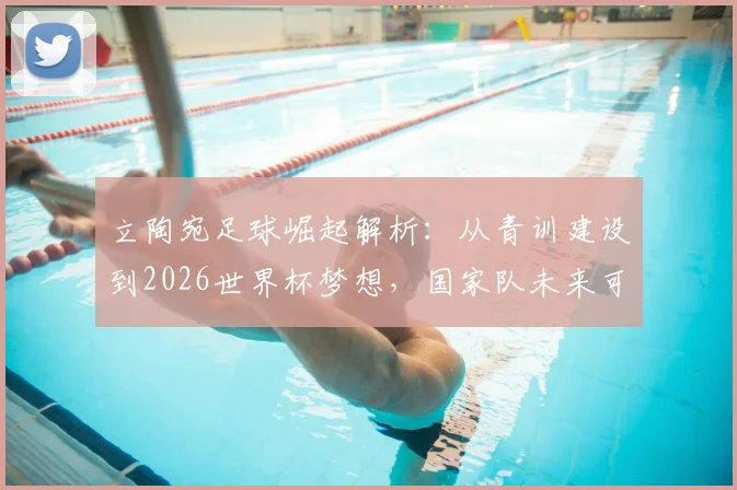 立陶宛足球崛起解析：从青训建设到2026世界杯梦想，国家队未来可期