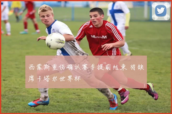 西蒙斯重伤确认赛季提前结束 将缺席卡塔尔世界杯